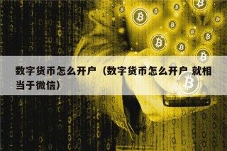 数字货币怎么开户（数字货币怎么开户 就相当于微信）